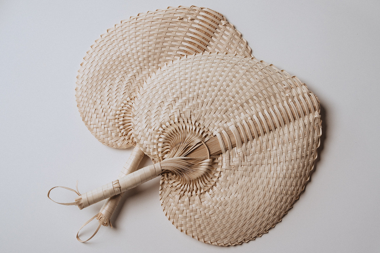 Raffia Fans