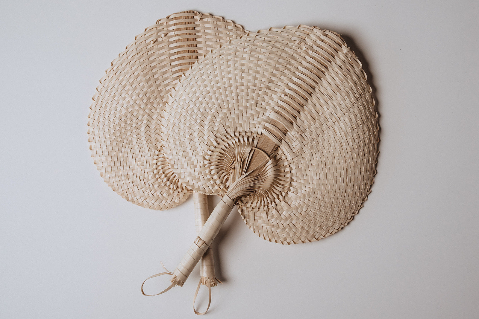 Raffia Fans